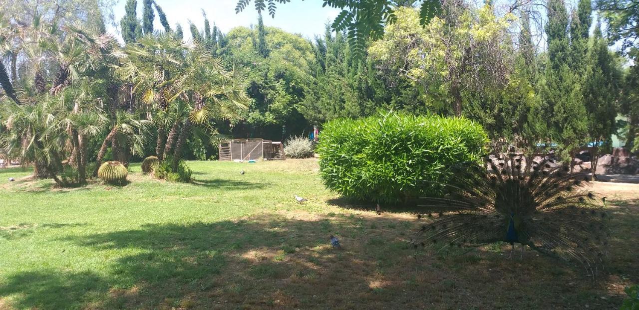 טורבייחה Apartamento Belsol מראה חיצוני תמונה