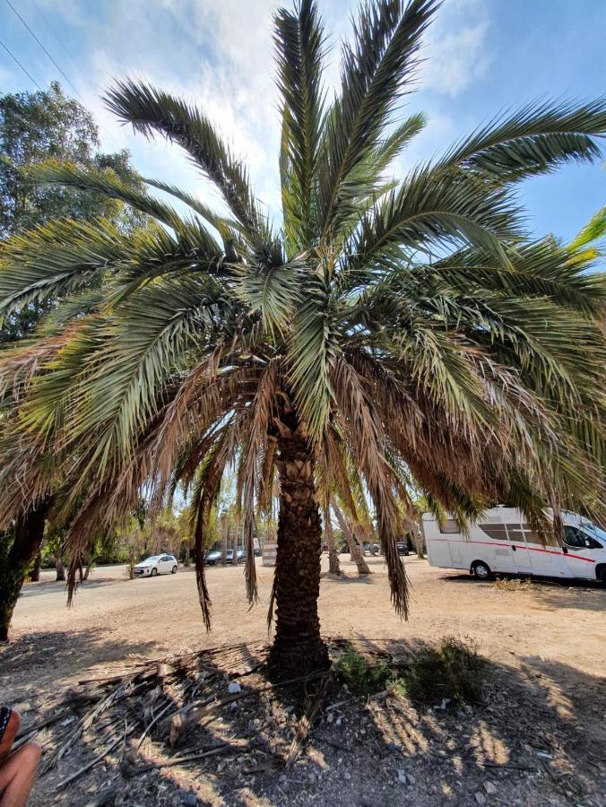 טורבייחה Apartamento Belsol מראה חיצוני תמונה